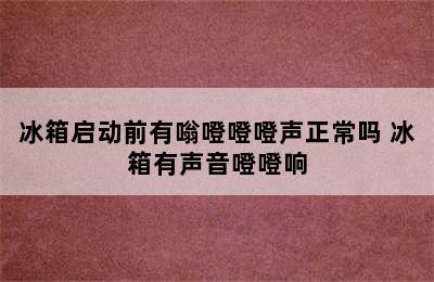 冰箱启动前有嗡噔噔噔声正常吗 冰箱有声音噔噔响